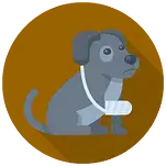 serviceicon-05
